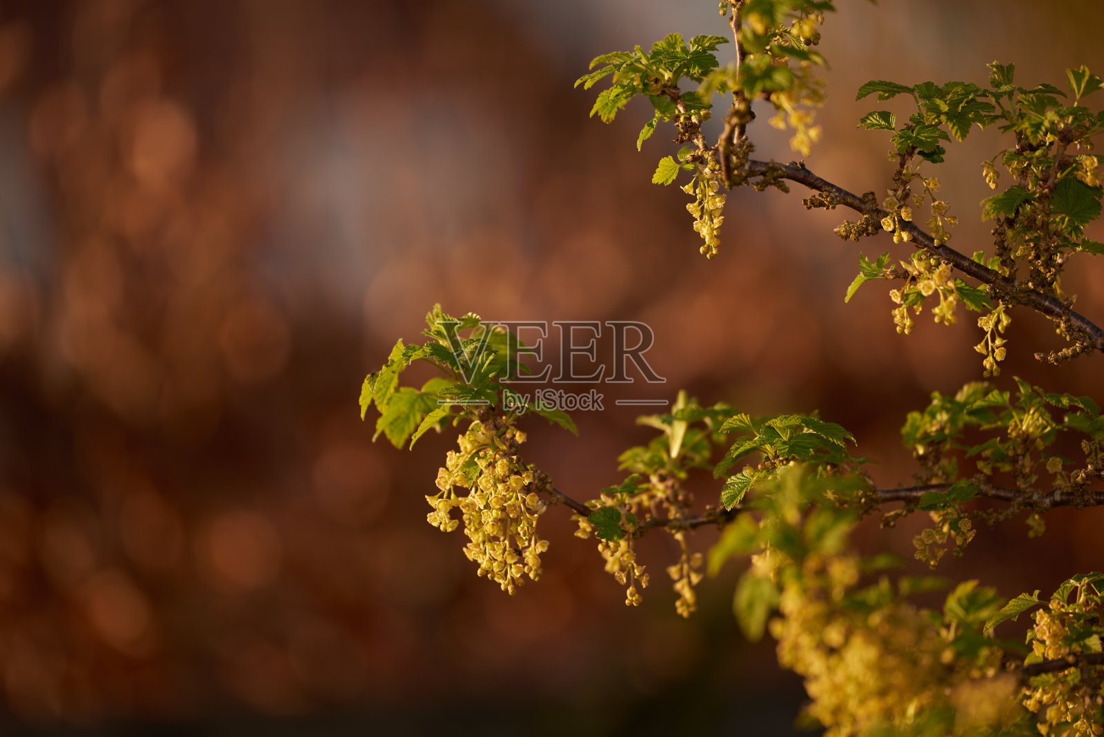 丰富多彩的秋天照片摄影图片