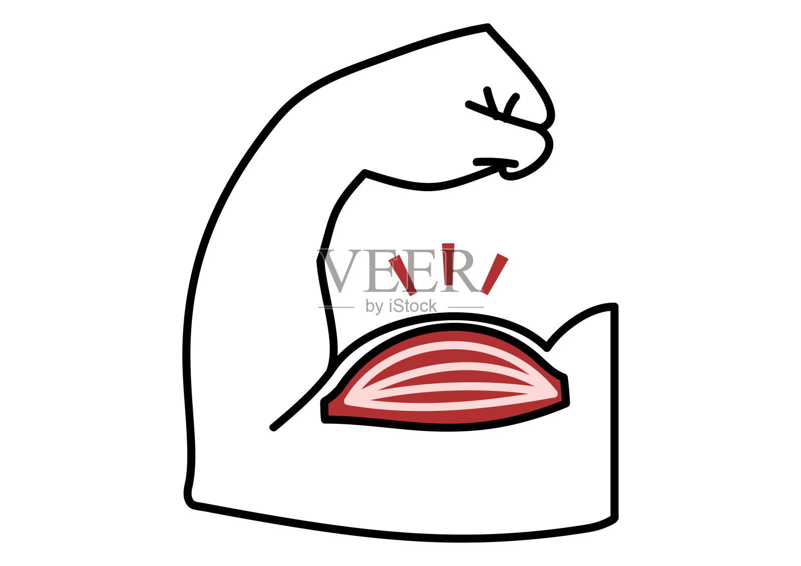 膨胀的肌肉插画图片素材
