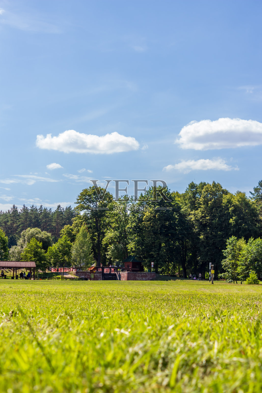 在一个晴朗的夏日，大自然的美丽照片摄影图片