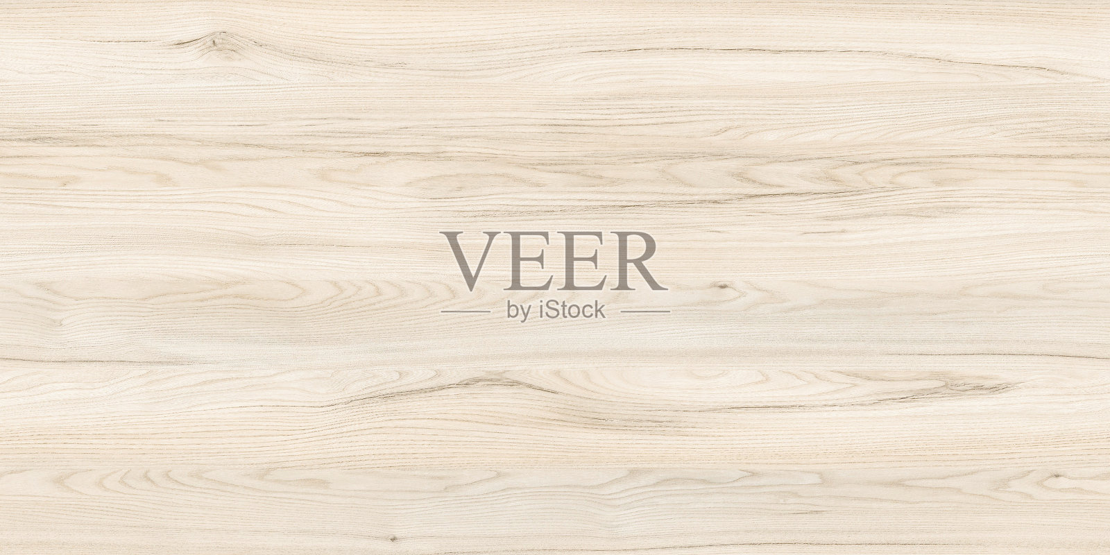 纹理轻浮雕粗糙榆树和自然图案照片摄影图片