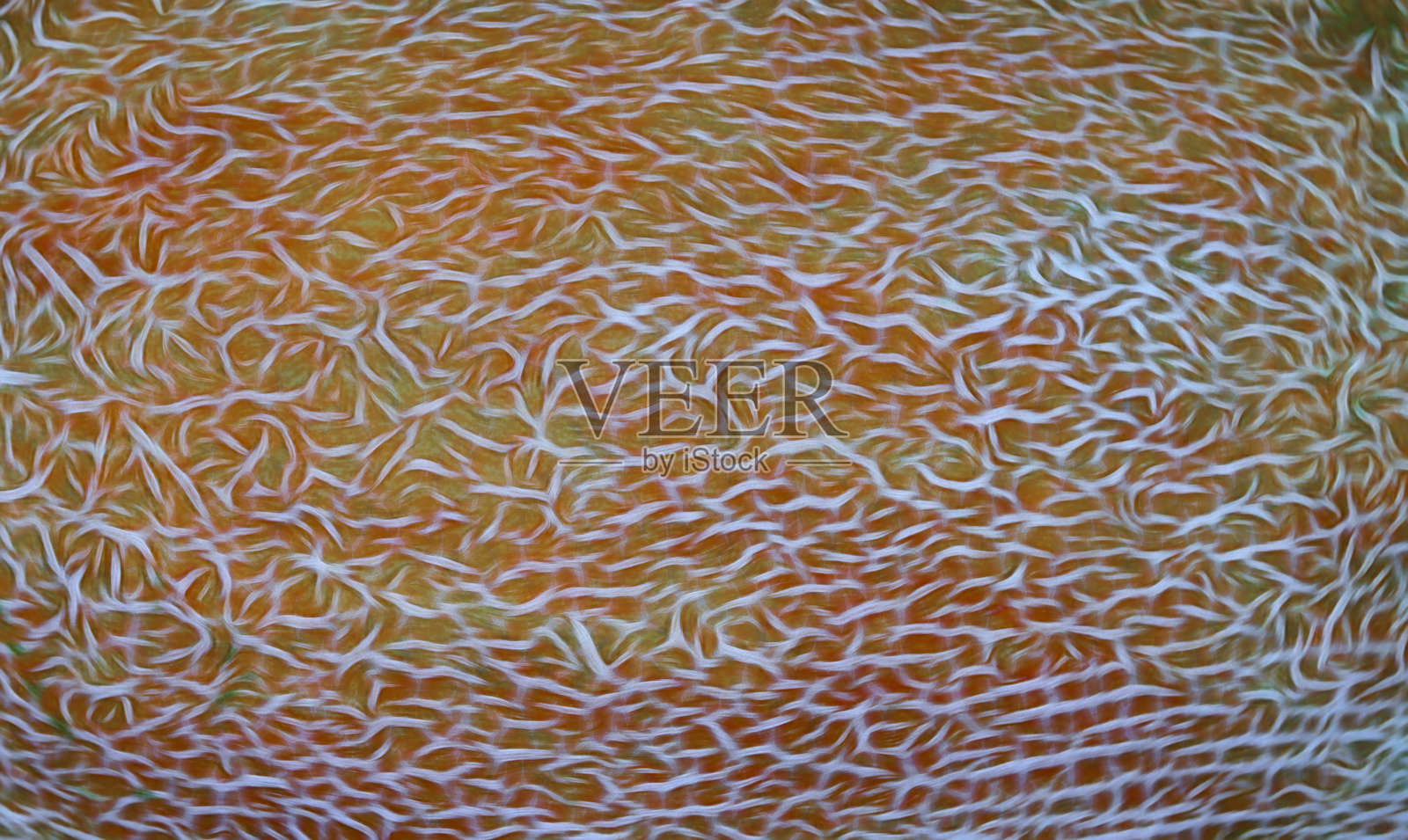 瓜子图案的碎片作为艺术家的背景照片摄影图片