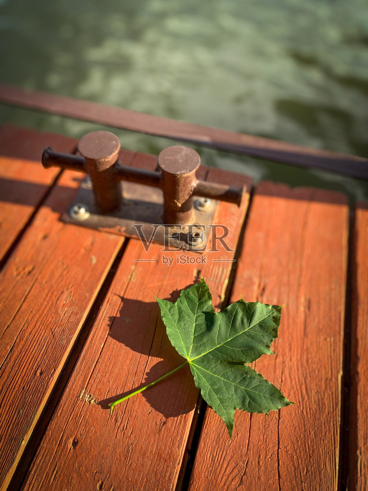 枫叶躺在桥墩的木板上照片摄影图片