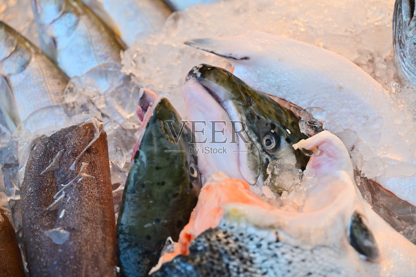 充满活力的传统鱼市景象照片摄影图片