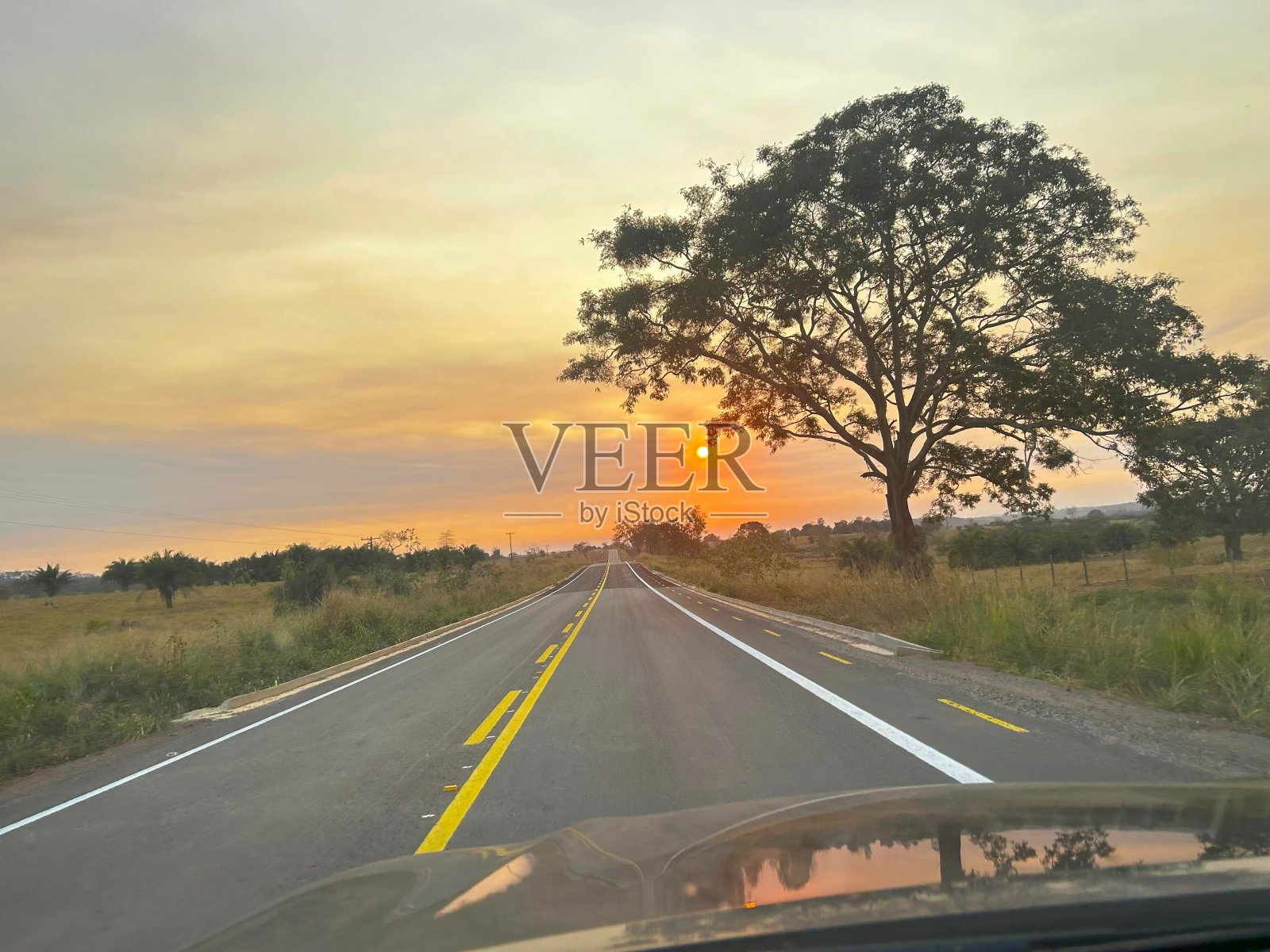 农场公路与阳光的美丽景色。路上的乡村生活照片摄影图片