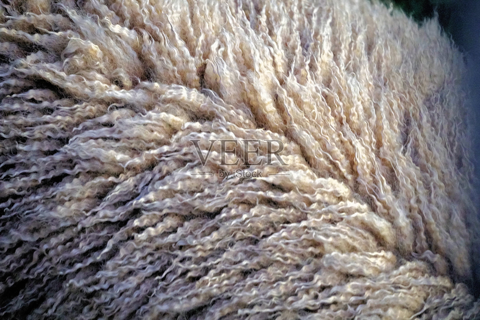 新西兰南岛照片摄影图片