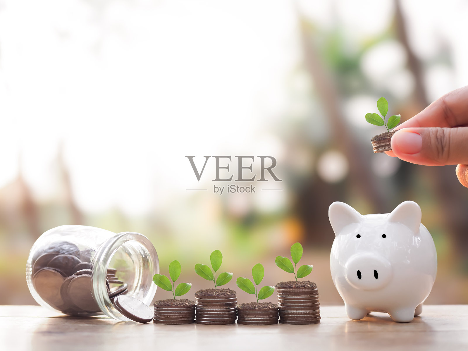 存钱罐和在一堆硬币上生长的植物。存钱、理财、投资和商业成长的观念。照片摄影图片