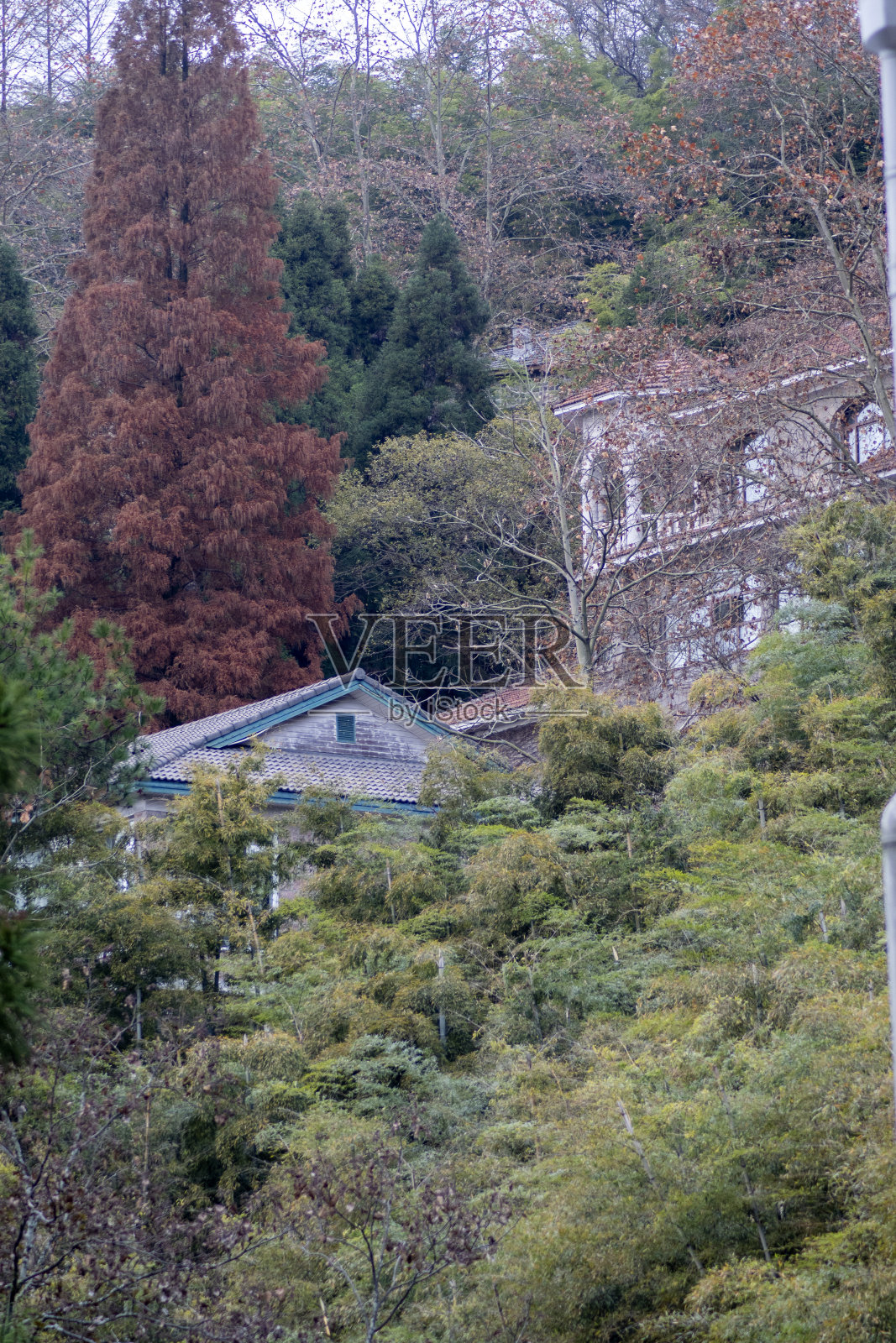莫干山风景区的老历史建筑照片摄影图片