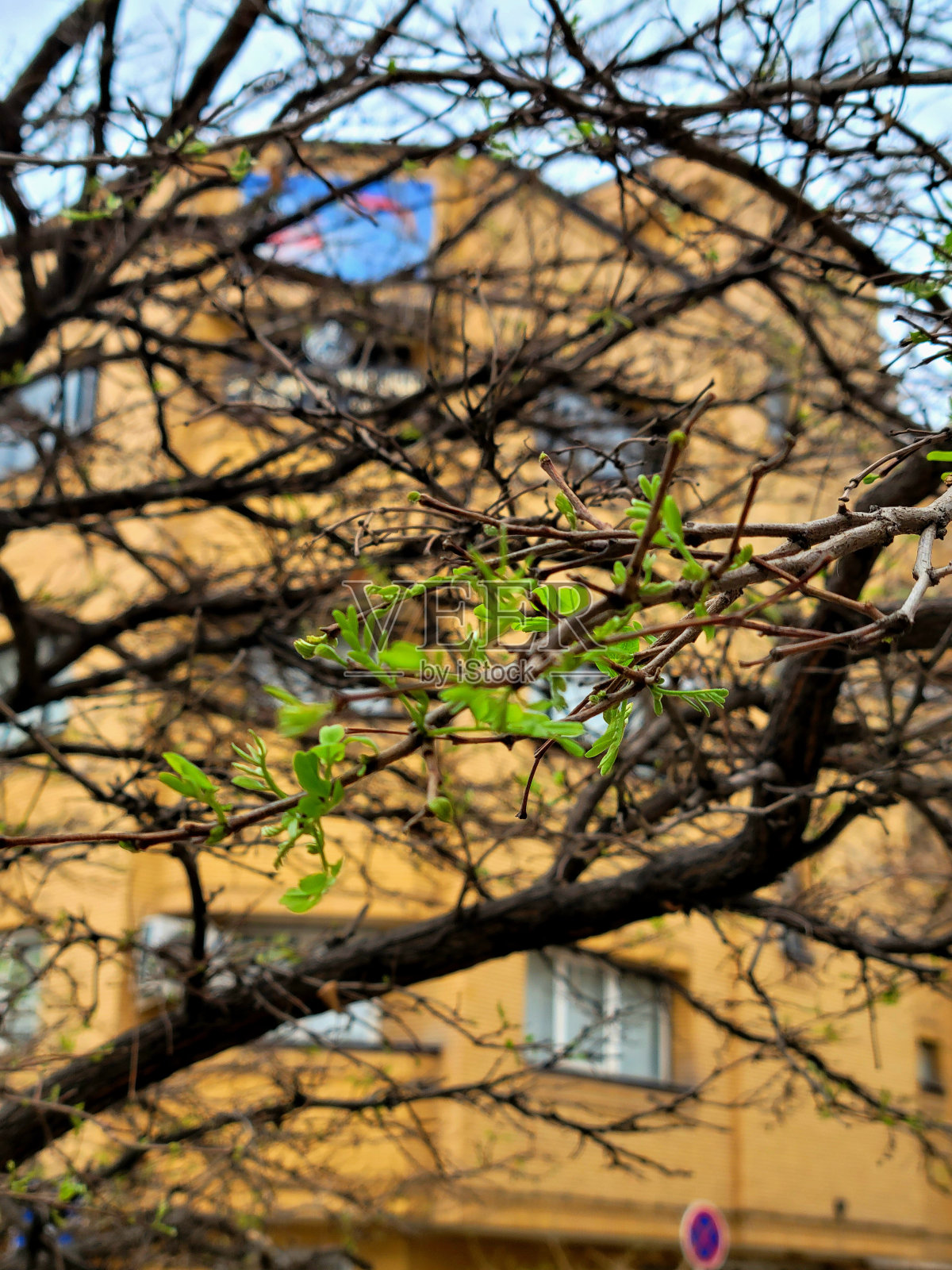 绿色生活！照片摄影图片