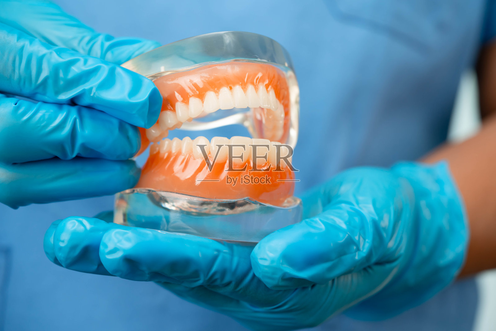 义齿，牙医在医院里拿着牙齿模型进行研究和治疗。照片摄影图片