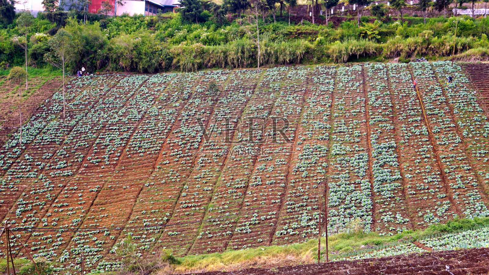 景观全景照片摄影图片