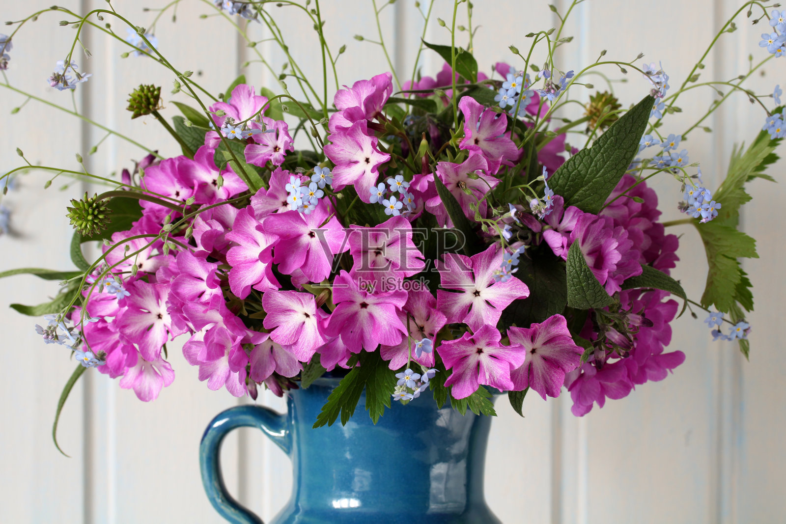 花卉背景，花园春花和勿忘我。自然,春天。照片摄影图片