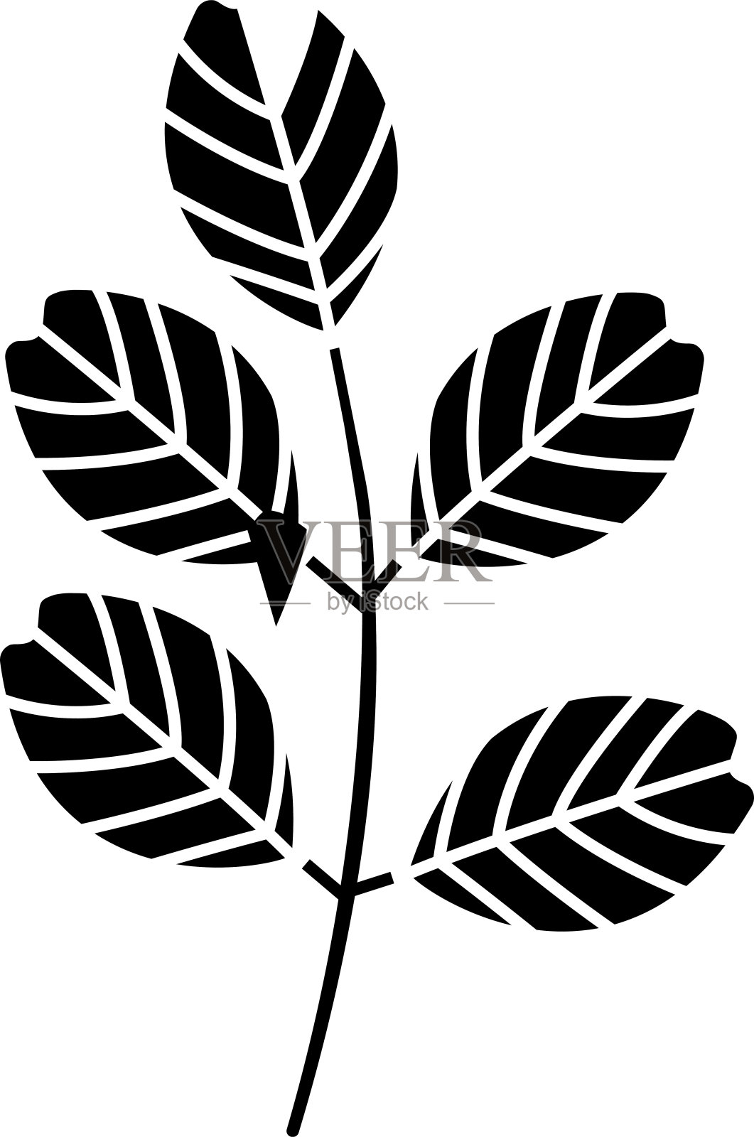 黑刺槐叶固体象形向量插图插画图片素材