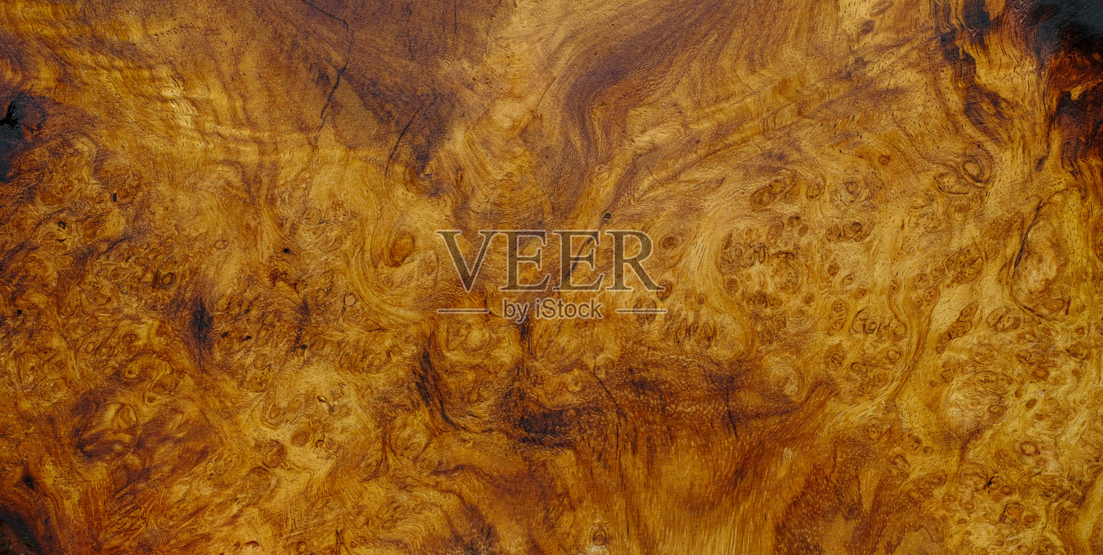 天然阿兹利亚刺木条纹是一个木制的美丽的图案为背景照片摄影图片