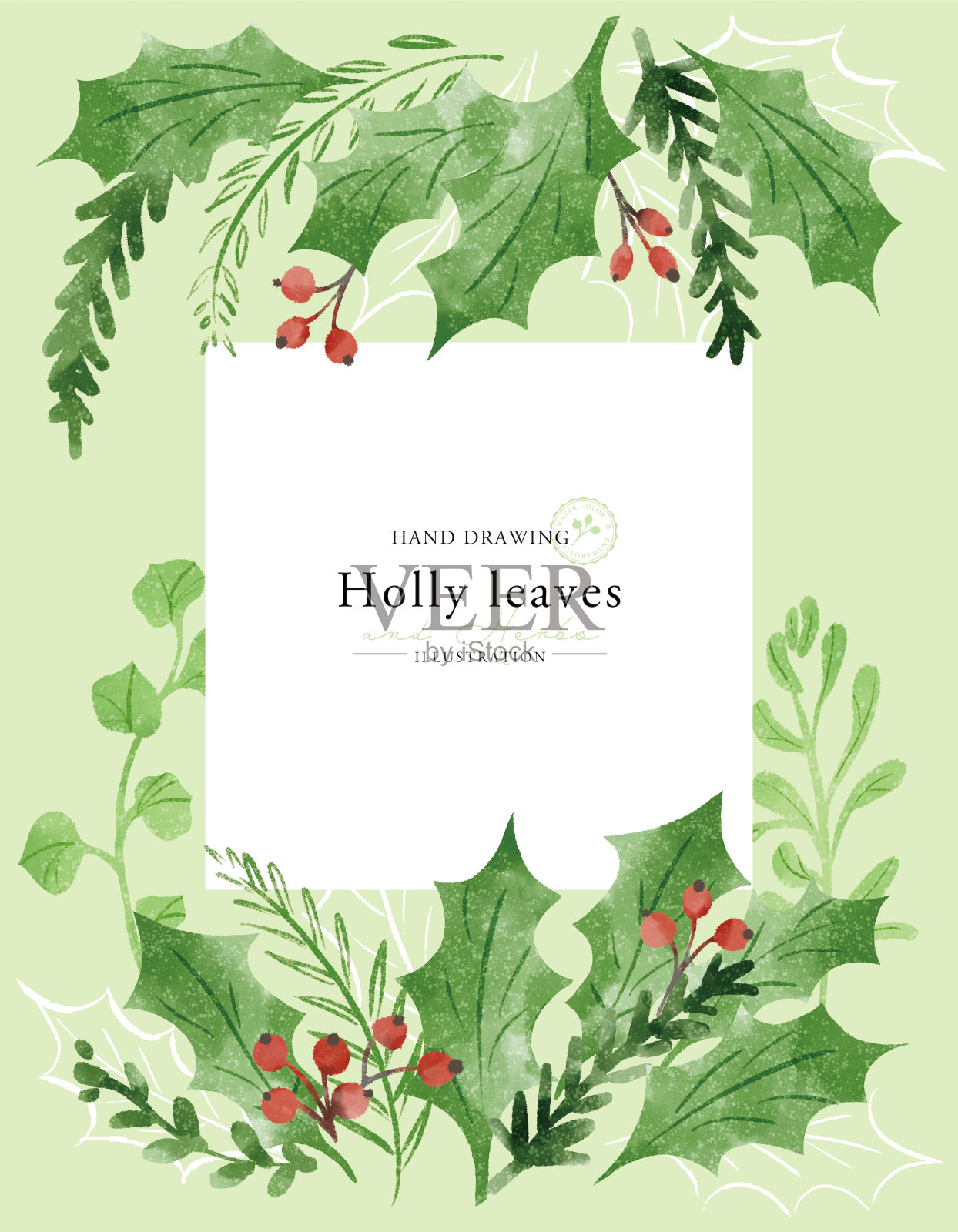 由各种圣诞树叶组成的插图板插画图片素材