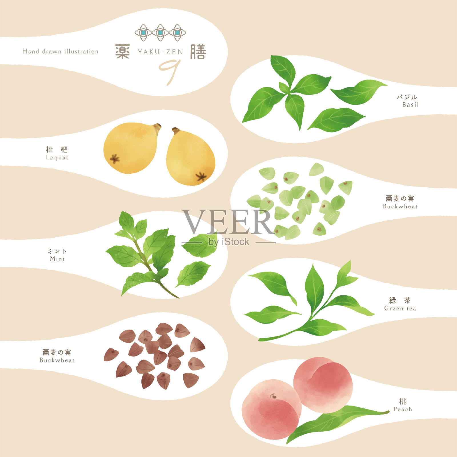 矢量说明一套药用食品插画图片素材