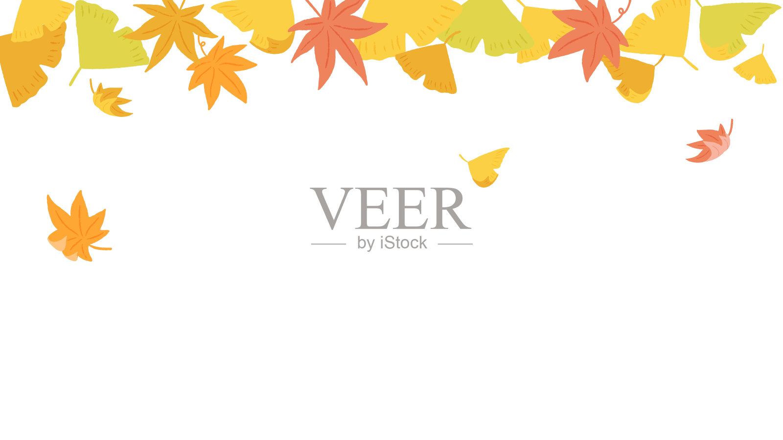 枫叶和银杏叶随风飘落，可爱的手绘插画插画图片素材