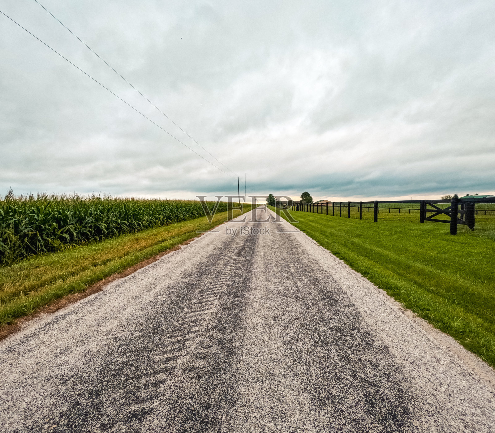 乡村田园风光照片摄影图片