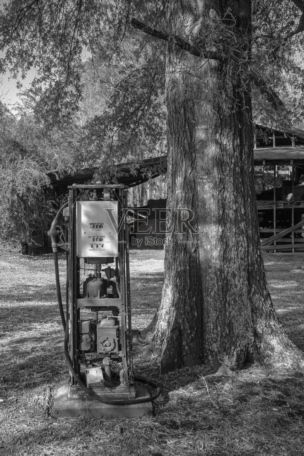 古董气泵下的橡树与干草谷仓的距离照片摄影图片