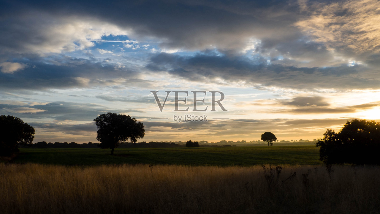 西班牙的领域照片摄影图片