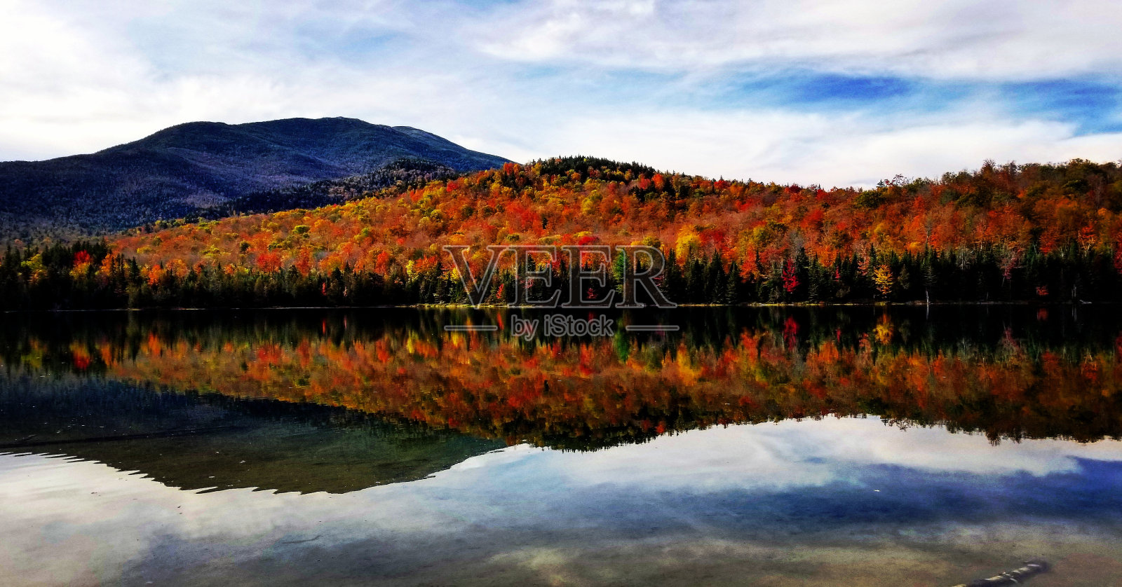 秋天树叶照片摄影图片