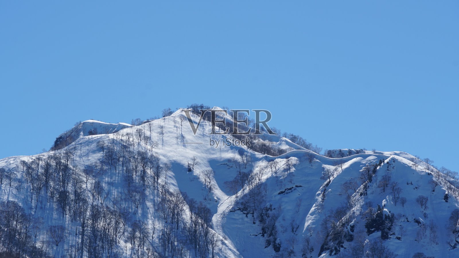 日本长野白波高丽雪场照片摄影图片