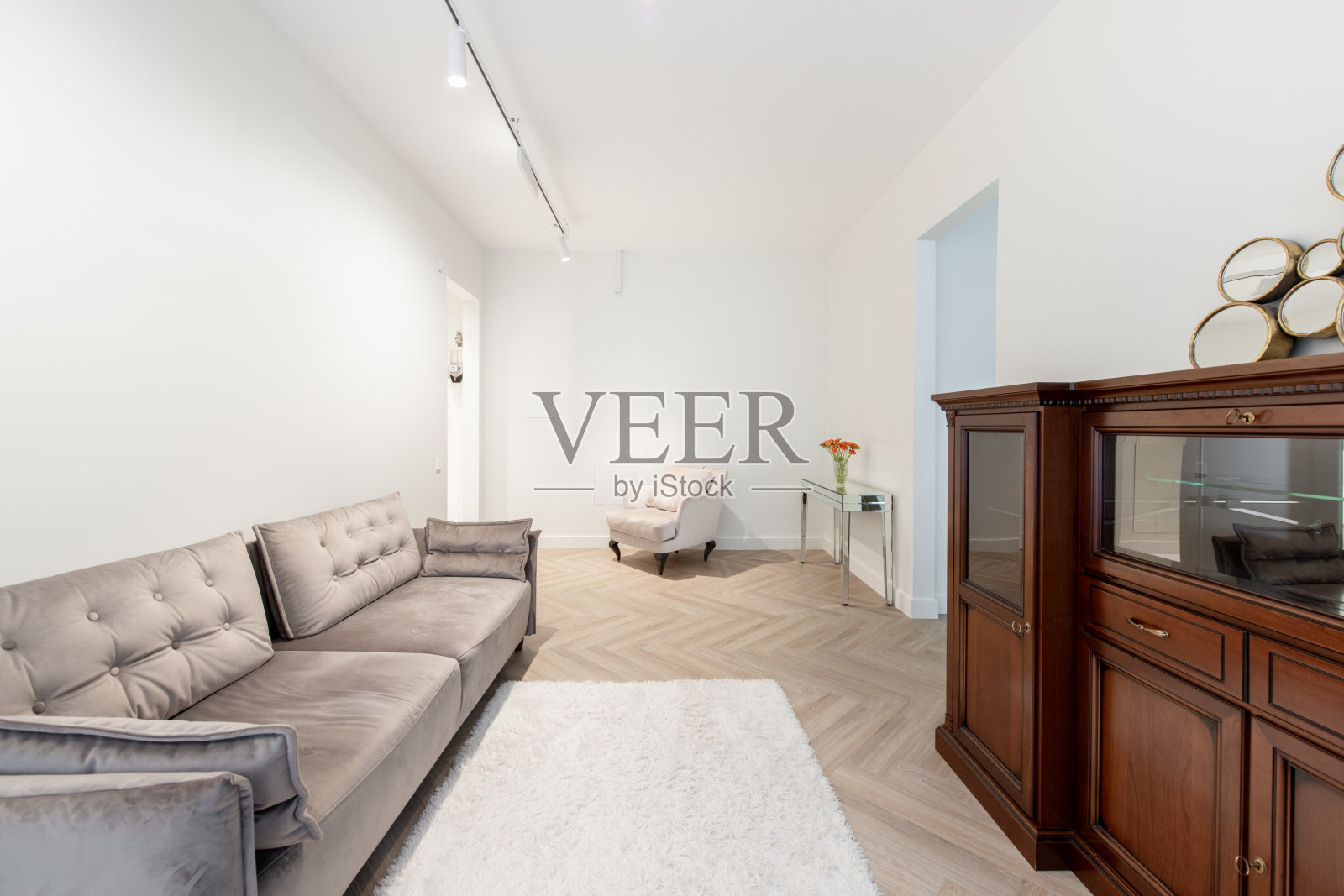 经典风格的家庭客厅室内。时尚的现代公寓。开放的室内，时尚的沙发，沙发，白色地毯，木制的抽屉柜，背景的马桶。采购产品扶手椅，桌子，花瓶和鲜花照片摄影图片