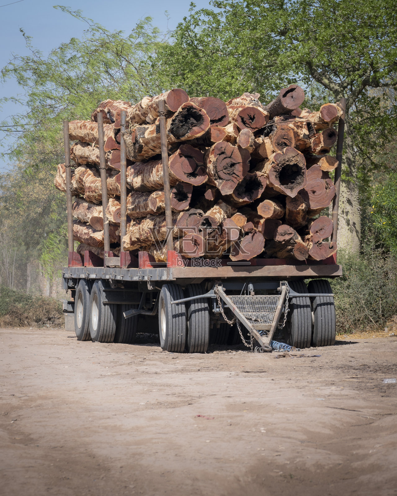卡车上的树干在查科森林里被砍倒。福尔摩沙,阿根廷。照片摄影图片
