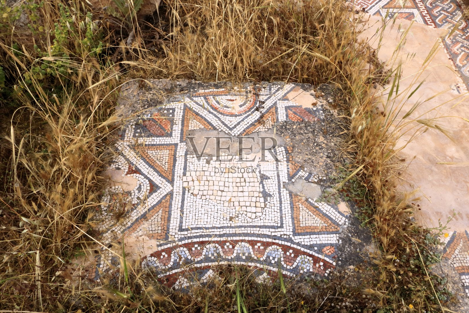 约旦杰拉什格拉萨的古代马赛克照片摄影图片