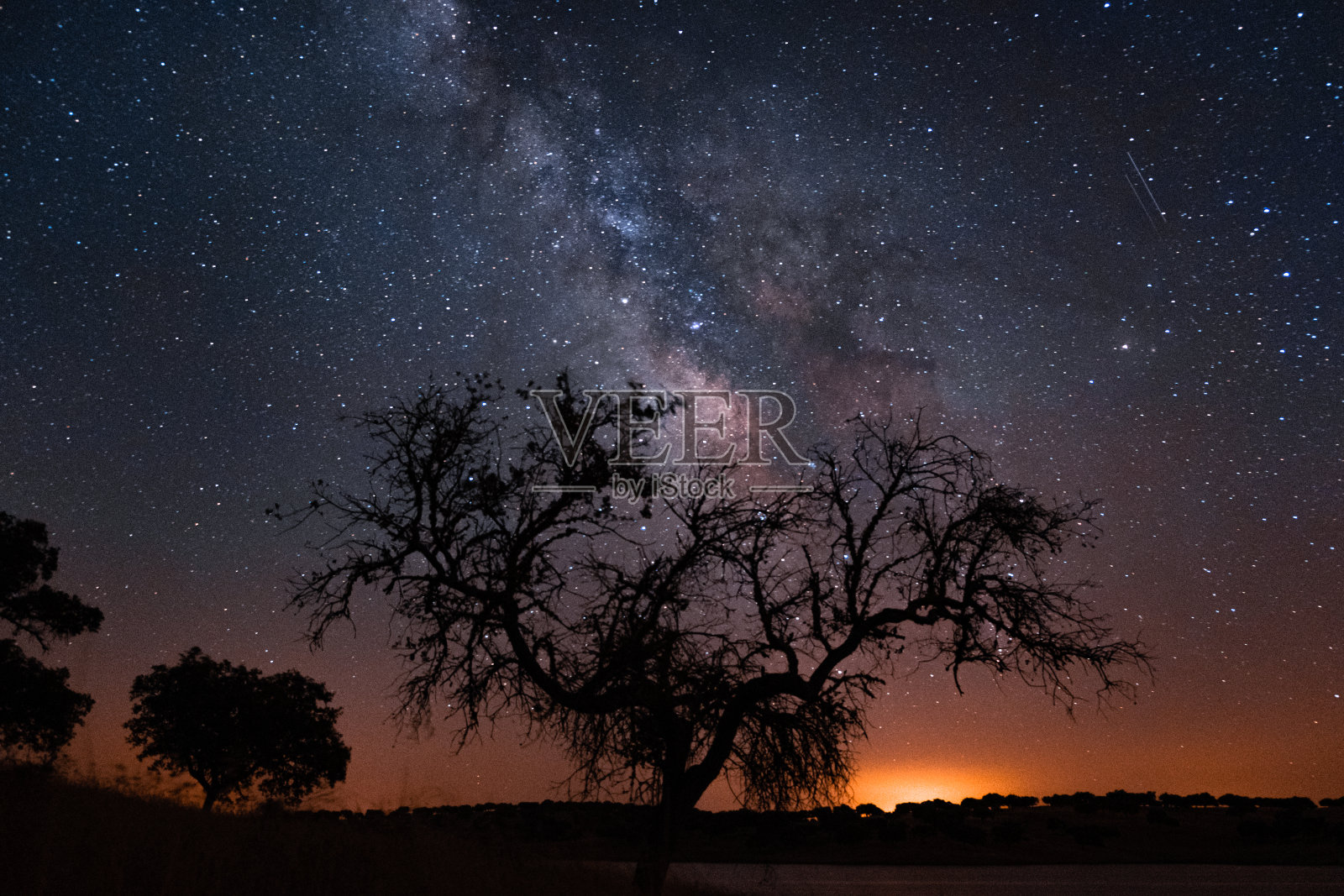 银河在葡萄牙阿尔基瓦湖边的一棵孤零零的树上拱起照片摄影图片