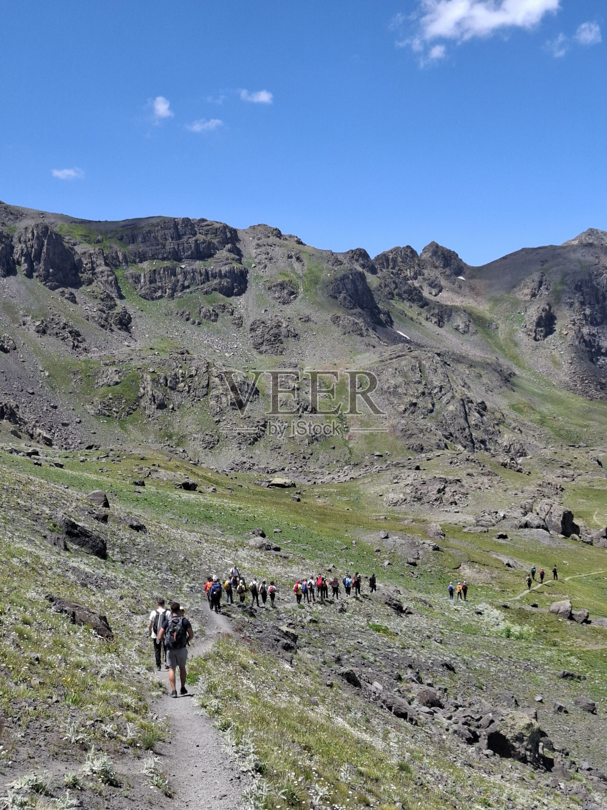 紫色的高原照片摄影图片