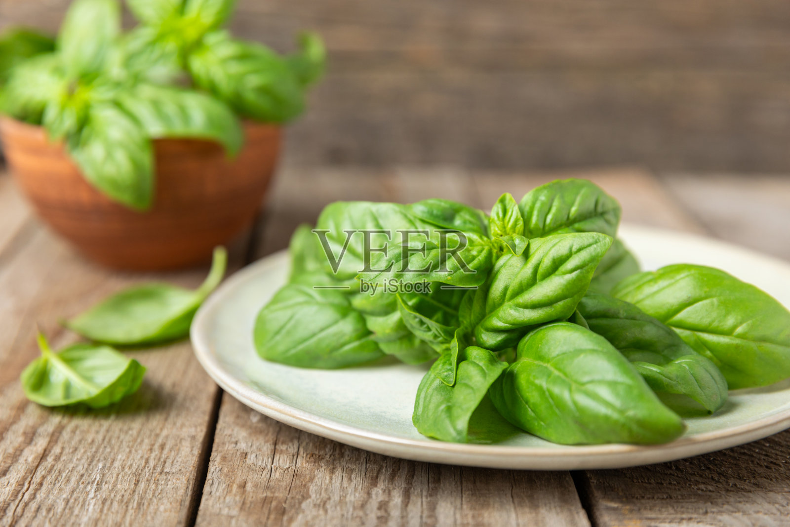 绿色罗勒叶在纹理木制背景。厨房香草，香料。新鲜的绿色有机罗勒。素食主义者。沙拉用的青菜。放文字的地方。副本的空间。照片摄影图片