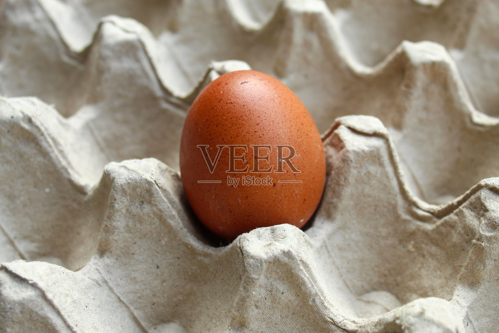 生鸡蛋放入鸡蛋盒容器中封闭照片摄影图片