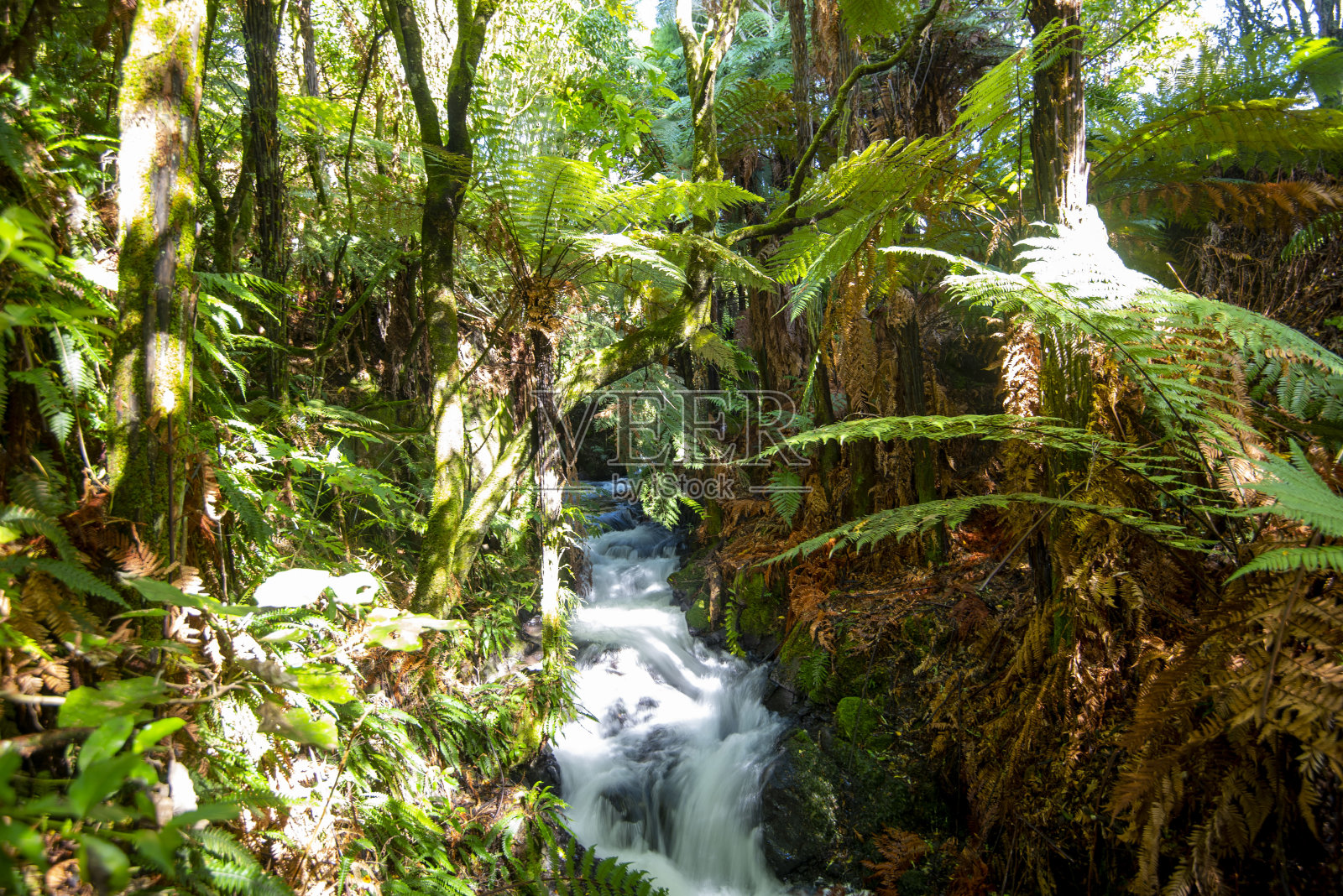 泰瓦罗亚埋葬村的小溪照片摄影图片