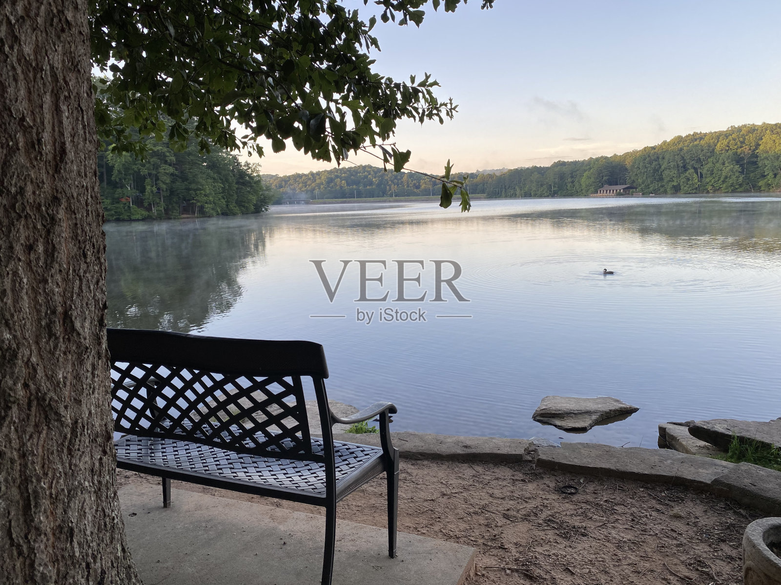 日出时宁静的湖边照片摄影图片