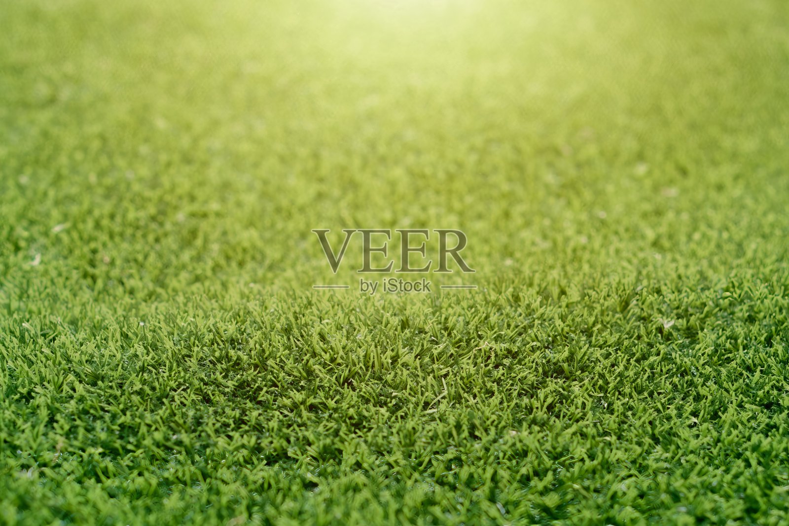 绿草数码背景照片摄影图片