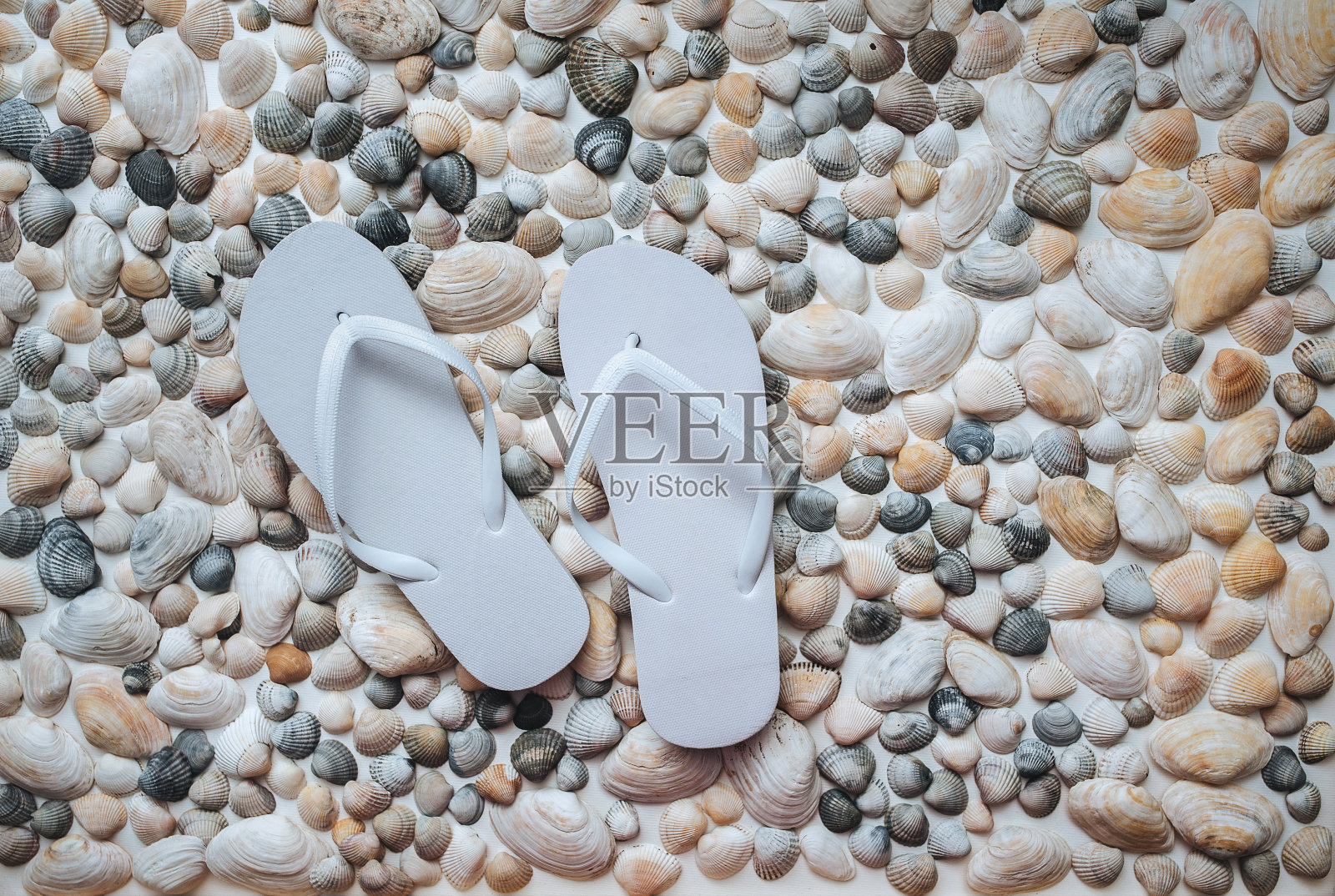 白拖鞋，躺在贝壳上。暑期休息，度假旅游的理念。照片摄影图片