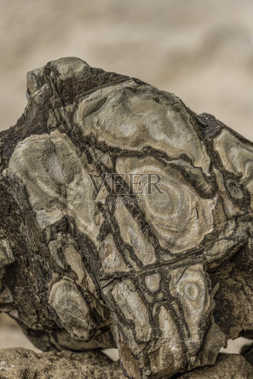 具有独特图案的风化岩石特写照片摄影图片