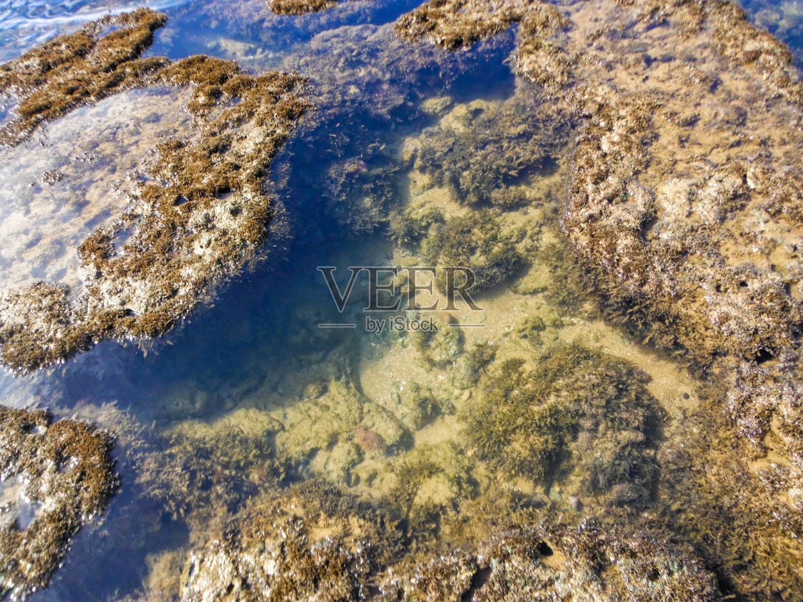 海滩上的礁石。照片摄影图片