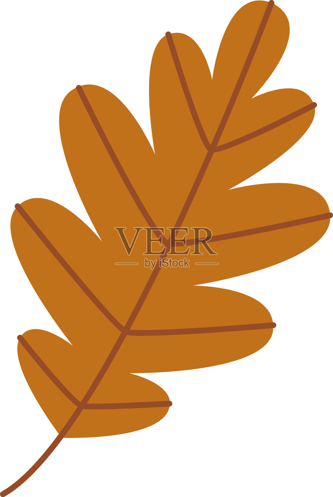 秋天的树叶插画图片素材