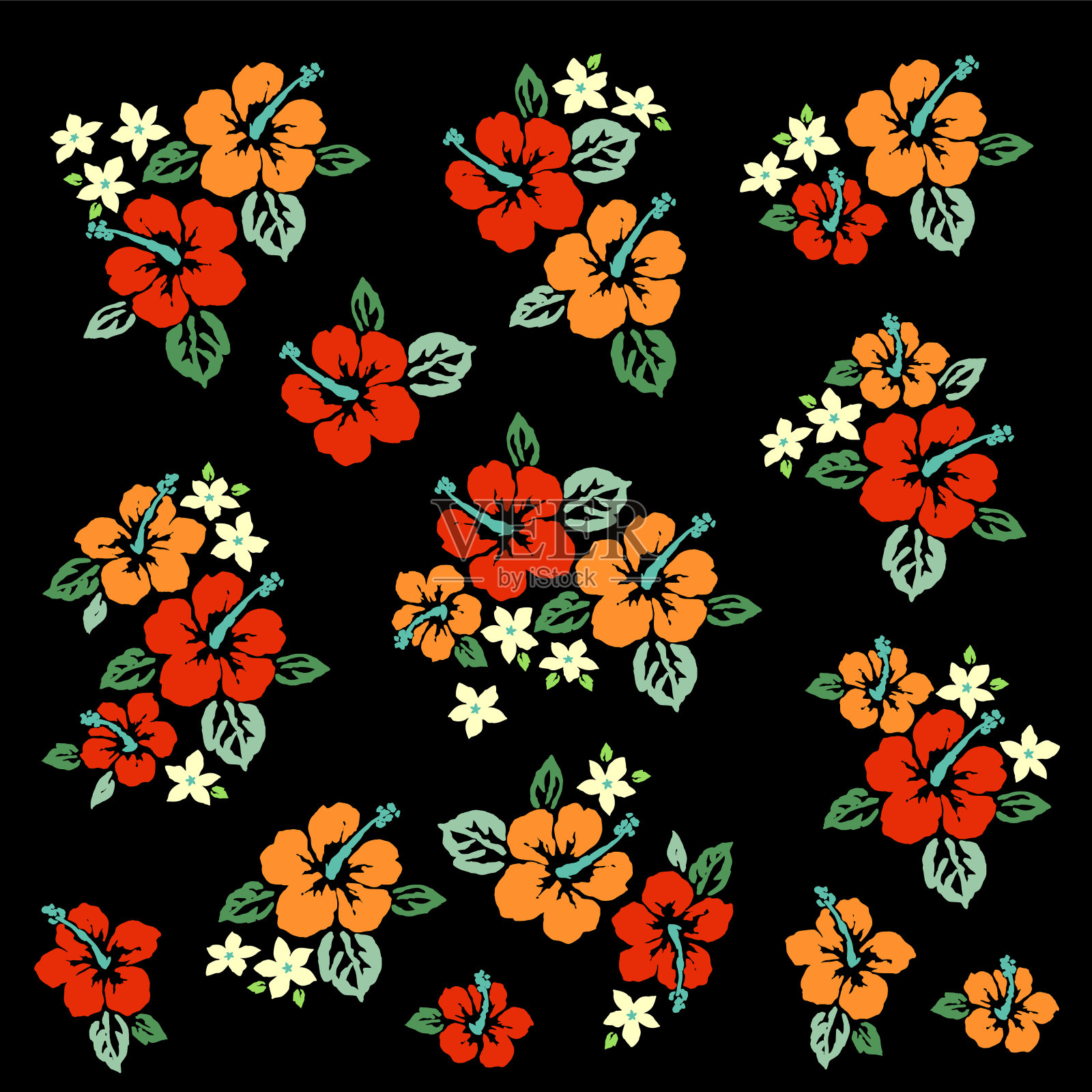 令人印象深刻和美丽的木槿插图收藏，插画图片素材