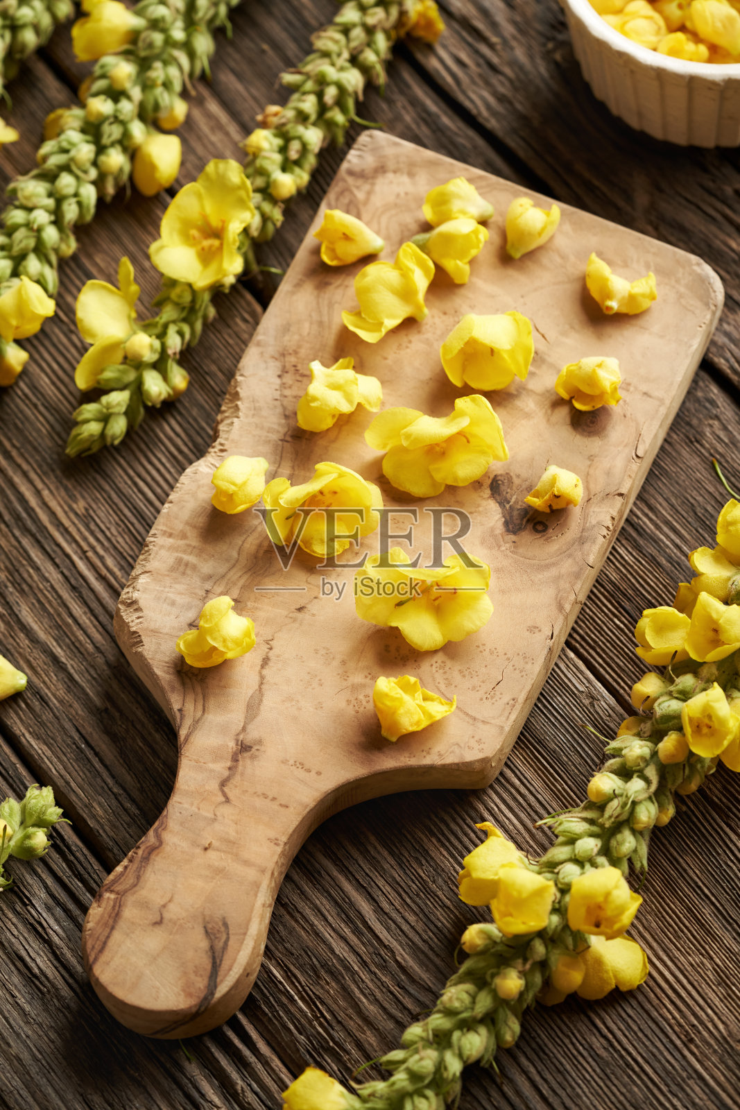 木桌上的砧板上放着新鲜的毛蕊花——草药酊剂的配制照片摄影图片