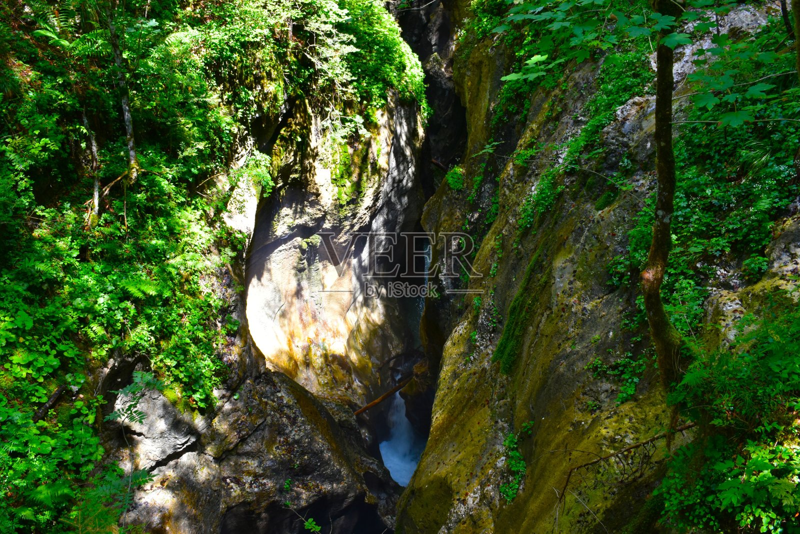 斯洛文尼亚Bohinj附近的Mostnica峡谷照片摄影图片