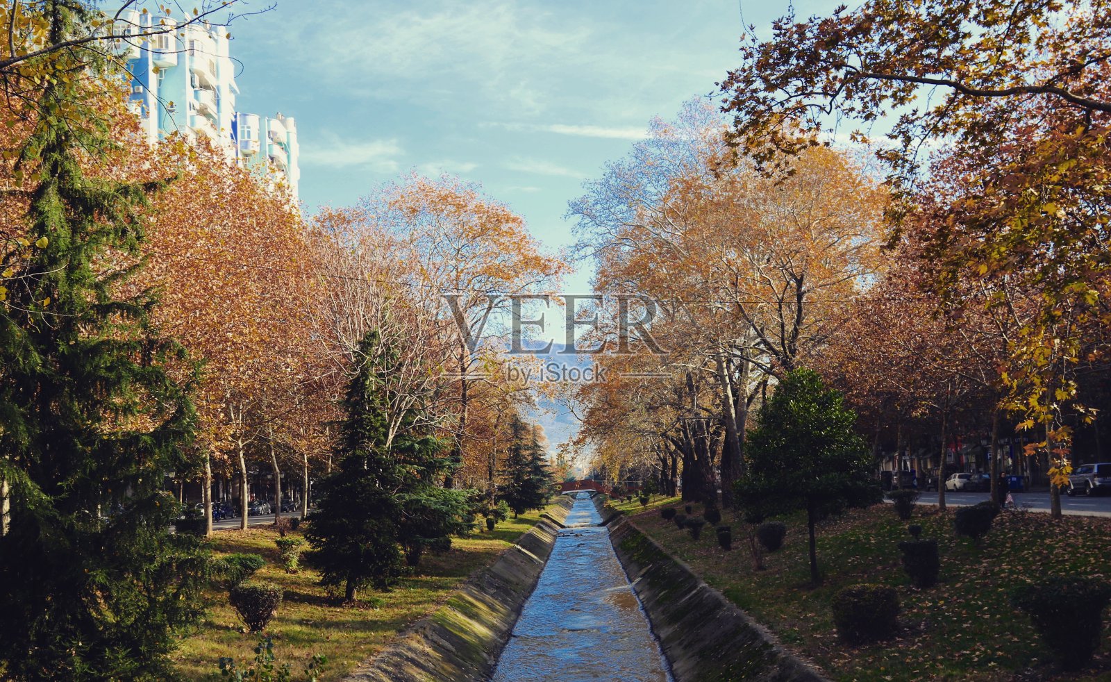 秋天公园林间小径照片摄影图片