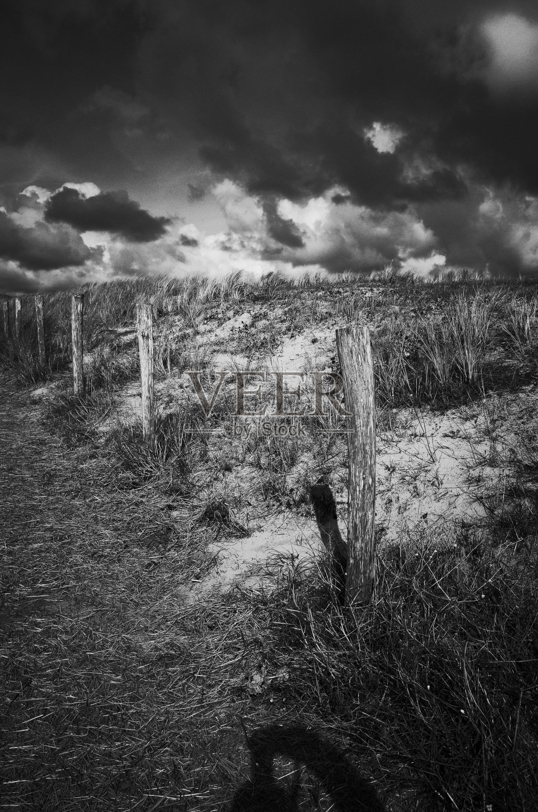 荷兰Egmond aan Zee照片摄影图片