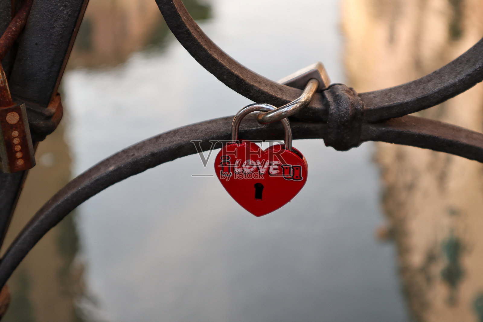 洛夫洛克在特雷维索的一条运河上照片摄影图片
