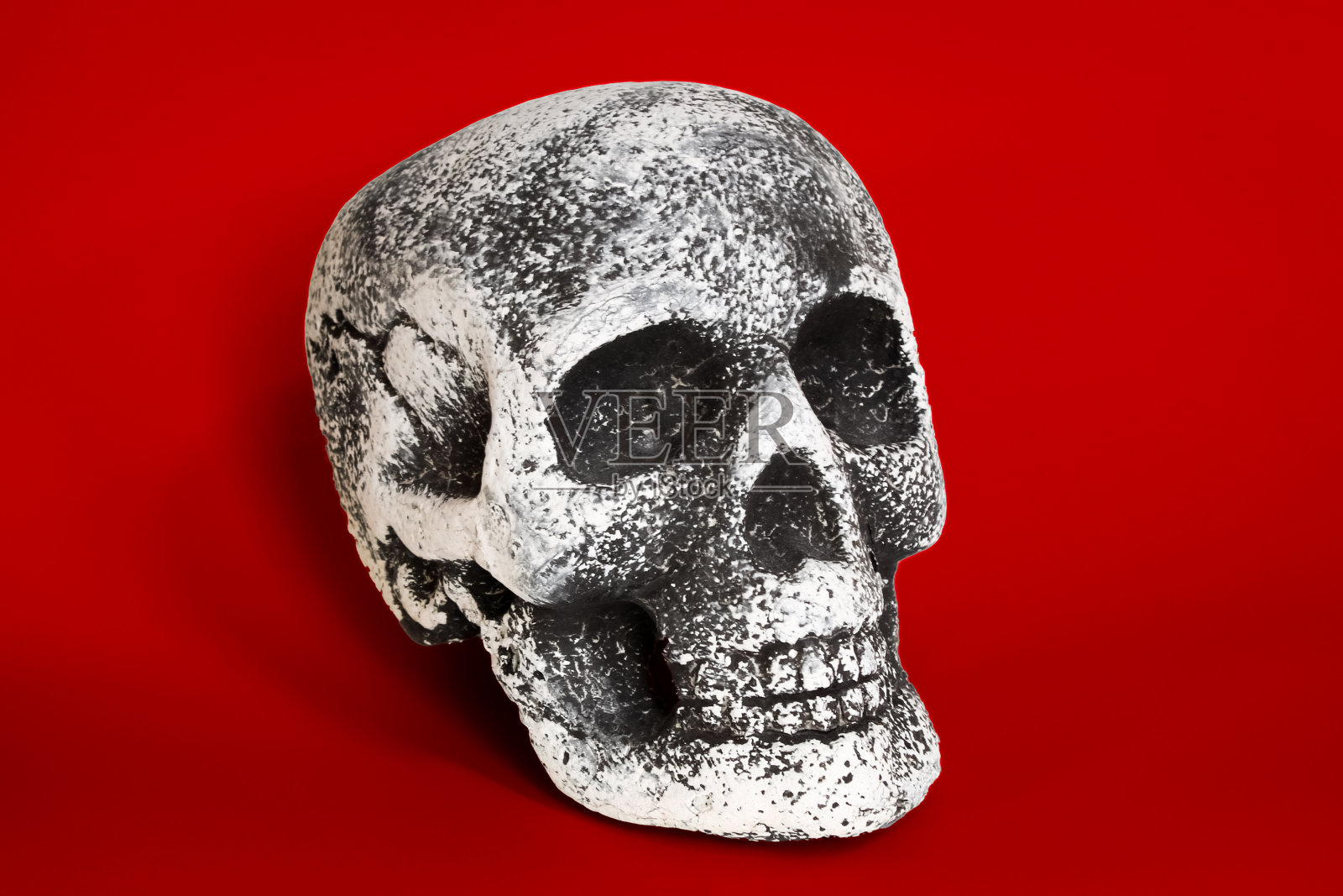 假塑料头骨装饰在红色背景照片摄影图片