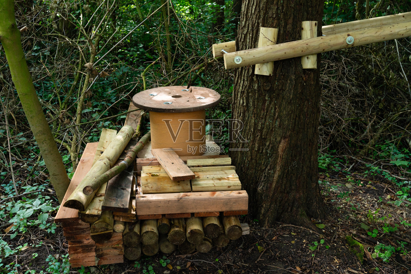 由森林中的圆木和圆柱体制成的质朴木结构照片摄影图片