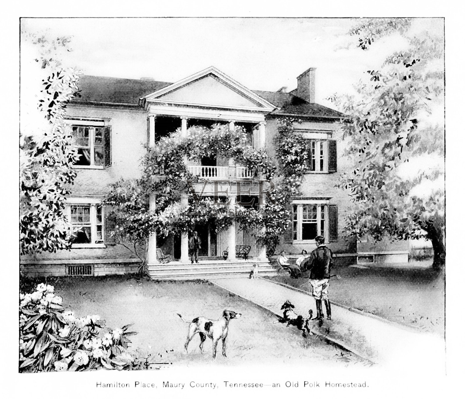 卢修斯·朱尼厄斯·波尔克的家，莫里县，田纳西州，美国，19世纪美国历史插画图片素材