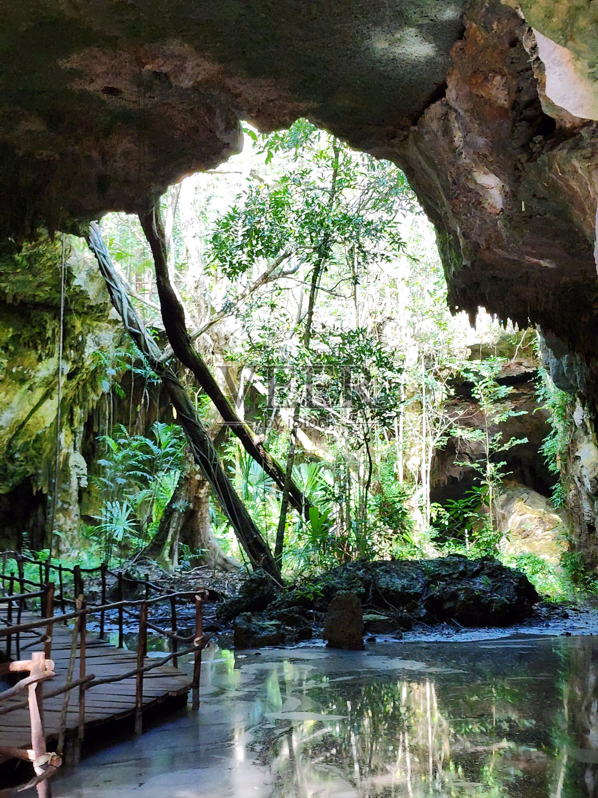 国家公园照片摄影图片