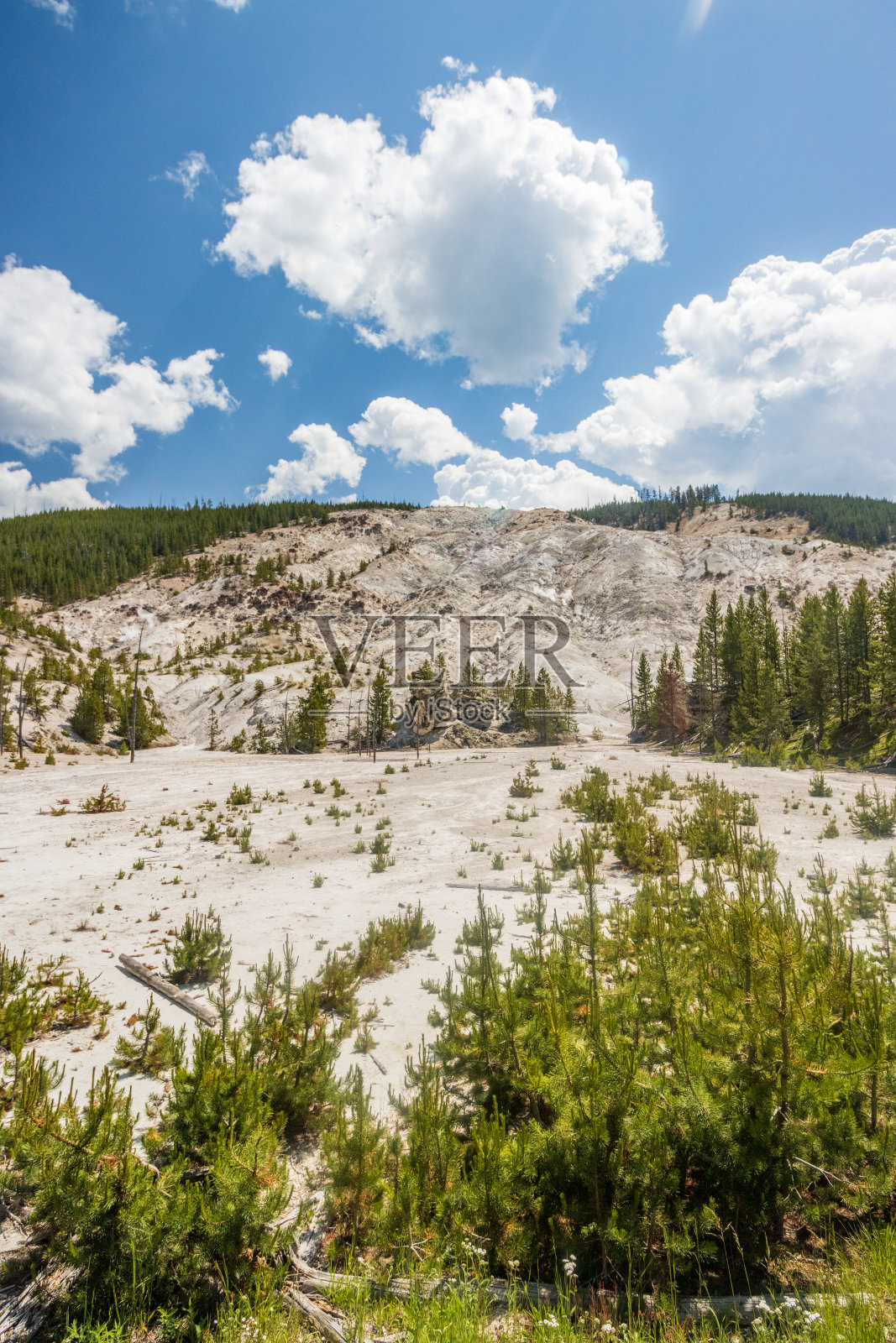 怀俄明州黄石国家公园的咆哮山照片摄影图片